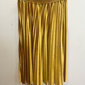 Target Velvet A-Line Skirt